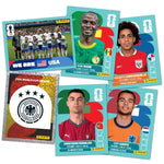 Panini Box of 50 Packs